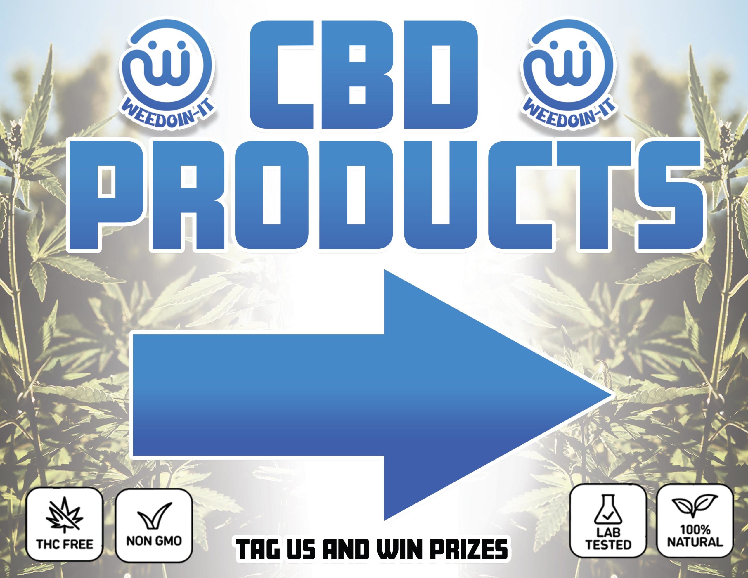 how to buy CBD oil Online